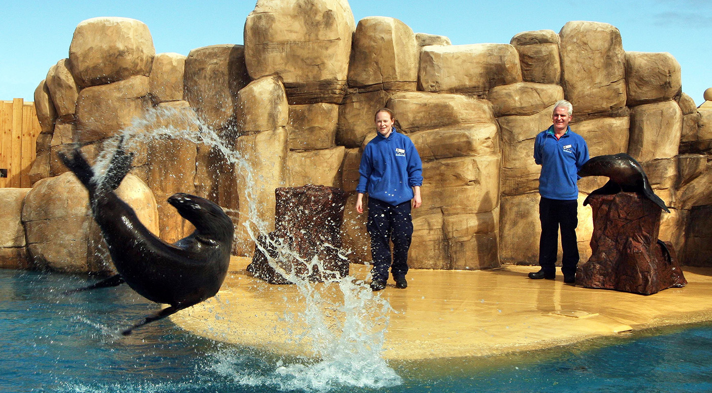 Visit The SeaQuarium In Rhyl Visit The SeaQuarium In Rhyl